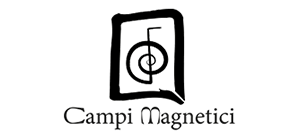 Campi Magnetici