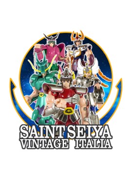 Associazione Culturale SAINT SEIYA VINTAGE ITALIA - SAINT CLOTH SERIES